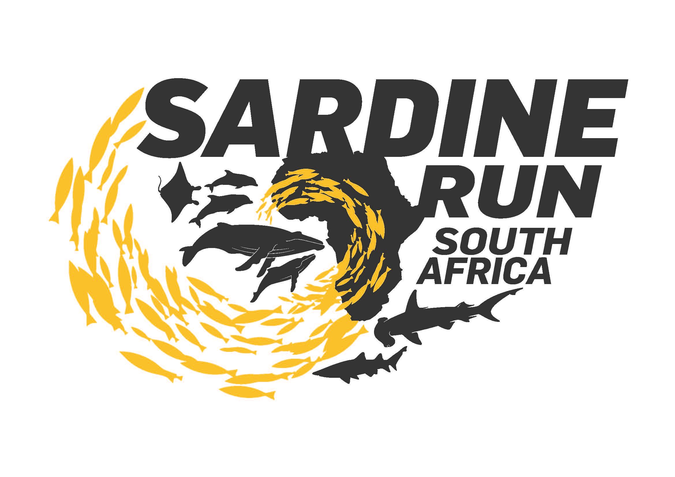 SARDINE RUN SOUTH AFRICA